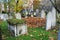 Autumn ancient graveyard with orange leaves and green grass in England