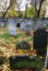 Autumn ancient graveyard with orange leaves and green grass in England