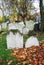 Autumn ancient graveyard with orange leaves and green grass in England