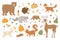 Autumn animals vector illustration set, cartoon flat forest fall season collection with raccoon bear deer hare hedgehog