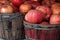 Autumn Apples In Bushel Baskets