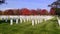 Autumn at Arlington National cemetery headstones