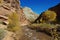 Autumn around Fremont River, Utah