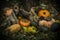 Autumn arrangement of pumpkins