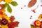 Autumn art composition - varied dried leaves, pumpkins, fruits, rowan berries on white background. Autumn, fall