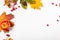 Autumn art composition - varied dried leaves, pumpkins, fruits, rowan berries on white background. Autumn, fall