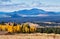 Autumn Aspens in Coconino National Forest