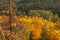 Autumn Aspens and Maple Viewed from Oberg Mountain in Northern M