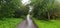 autumn. asphalt road through the garden. trees, bushes, grass grow on the roadside.