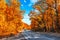 Autumn asphalt road landscape and car in motion on beautiful cloudy day. Travel auto trip autumn rain road in forest