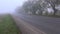 Autumn asphalt road with red truck and fog