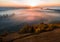 Autumn atmosphere. Colorful trees in the foreground. Cold mist in the valley. The beauty of nature at sunrise.