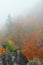 Autumn atmosphere with fog