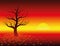 Autumn Atmosphere Sunset Leafless Tree