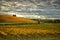 Autumn Atmosphere in a Wineyards in Tuscany, Chianti, Italy