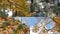 Autumn, autumn day, autumn park. Collage with views of the autumn forest.