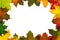 Autumn backdrop - frame composed of colorful autumn leaves