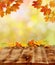 Autumn background