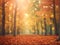 Autumn background banner design with copy space text, orange, red and yellow leaves on the forest ground