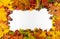 Autumn background with colored leaves, chestnuts and peanuts on white board