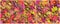 Autumn background. Colorful bright fallen maple leaves texture background. Triptych of fallen autumn leaves