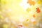 Autumn background with colorful flying maple leaves. There is a place for your text.