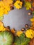 Autumn background with colorful maple leaves and pumpkins, corns, chesnuts, Frame of fall harvest with copy space. Mockup for