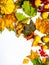 Autumn background with colorful mixed leaves, pumpkin, berries, cydonia, physalis. frame with copy space. Mockup for seasonal