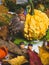 Autumn background with colorful mixed leaves, pumpkin, berries and fairytale gnome and mushrooms from wood. Mockup for seasonal