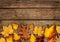 Autumn background - different shaped leaves on wood