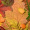 Autumn background from the fallen leaves of Canadian maple, fern, raspberry and physalis