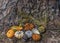 Autumn Background of Gourds and Pine Needles