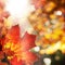 Autumn Background with Maple Leaves. Abstract Fall Border