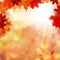 Autumn Background with Maple Leaves and Sun Ligth