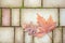 Autumn background from paving stones. Autumn abstraction with paving stones, pine needles and fallen maple leaves