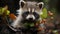 Autumn background with a raccoon, the concept of melancholy and home comfort
