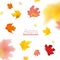 Autumn Background with Red and Yellow Maple Leaves. Nature Fall Seasonal Design Template for Web Banner, Leaflet, Sale