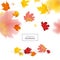 Autumn Background with Red and Yellow Maple Leaves. Nature Fall Seasonal Design Template for Web Banner, Leaflet, Sale