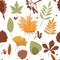 Autumn background. Seamless  abstract pattern with autumn various leaves and rowan.