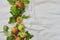 Autumn background of small apple and leaves on biege linen textile background. Empty space for text. Top view.