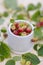 Autumn background witn Small red Apples in the white basket