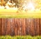 Autumn background with wooden fence, grass and leaves