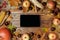 Autumn background on wooden planks