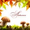 Autumn background with yellow leaves and autumn mushroom