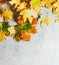 Autumn background with yellow maple leaves on grey background. Seasonal backdrop. Top view with copy space