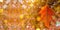AUTUMN BACKGROUNDS, COLORFUL LEAF WITH DEFOCUSED FALL COLORS AND SUNSET LIGHT LIKE BACKGROUND. COPY SPACE. WEB BANNER