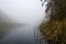 Autumn at the backwater of the Drava river.