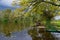 Autumn backwater reflection