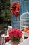 Autumn backyard decoration with flowers, maple leaves and old cage