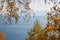 Autumn Baikal lake through yellow leaves of the birches.